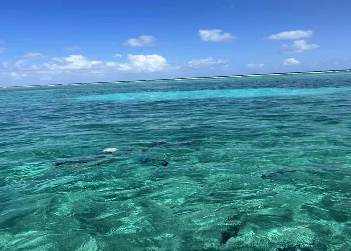 Residences At Barrier Reef 4c Oceanview 2 Bedroom By Floreo